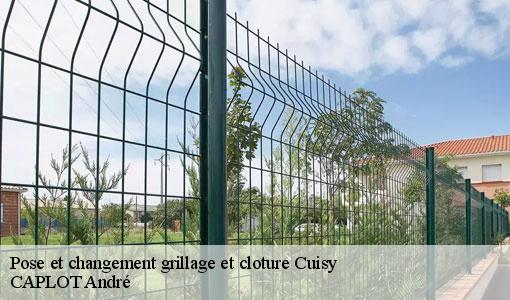 Pose et changement grillage et cloture  cuisy-77165 CAPLOT André