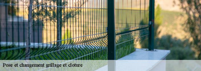 Pose et changement grillage et cloture 77860
