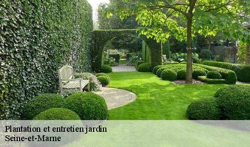 Plantation et entretien jardin Seine-et-Marne