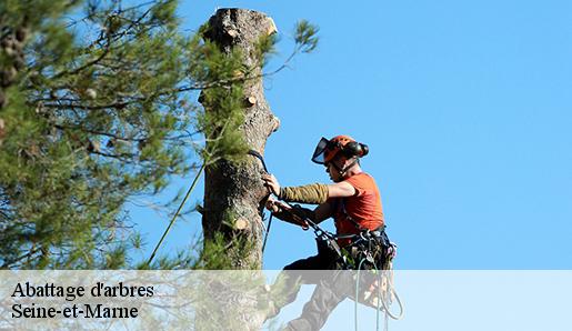 Abattage d'arbres Seine-et-Marne