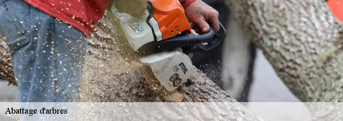 Abattage d'arbres Seine-et-Marne 