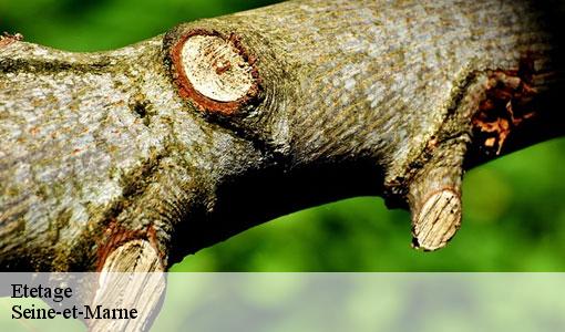 Etetage Seine-et-Marne