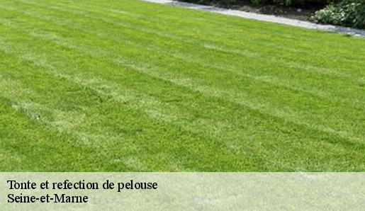 Tonte et refection de pelouse Seine-et-Marne