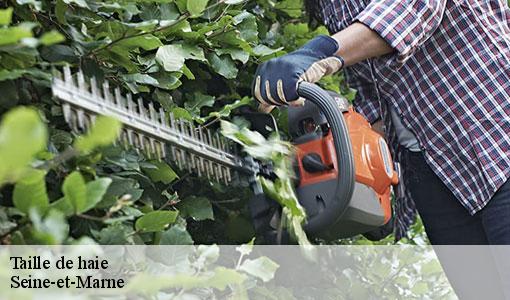 Taille de haie Seine-et-Marne 