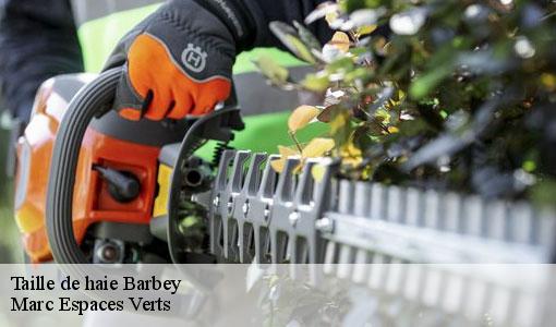 Taille de haie  barbey-77130 Marc Espaces Verts 