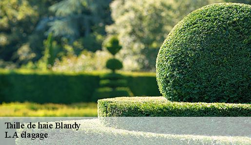 Taille de haie blandy-77115 L.A élagage