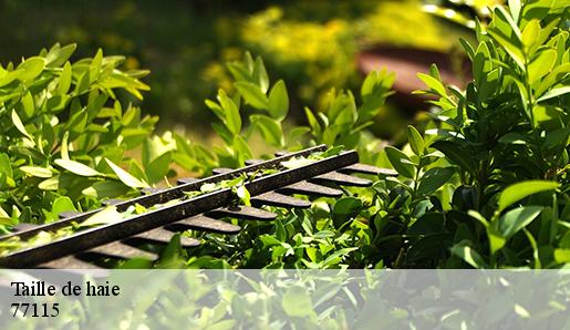 Taille de haie 77115