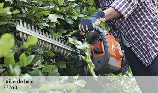 Taille de haie  77760