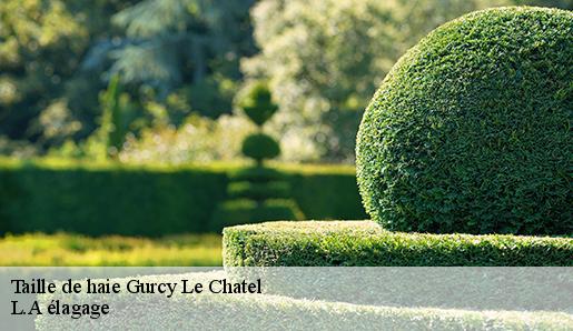 Taille de haie gurcy-le-chatel-77520 Sauser elagage
