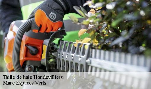 Taille de haie hondevilliers-77510 Marc Espaces Verts