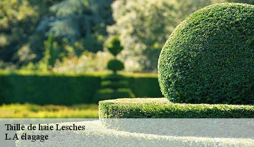 Taille de haie lesches-77450 L.A élagage