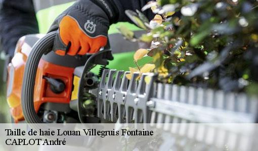 Taille de haie  louan-villegruis-fontaine-77560 CAPLOT André