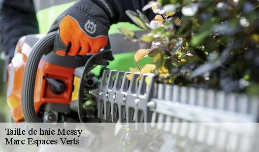 Taille de haie  messy-77410 Marc Espaces Verts 