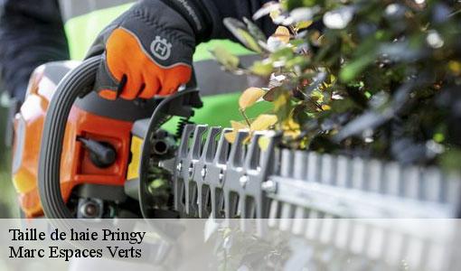 Taille de haie  pringy-77310 Marc Espaces Verts 