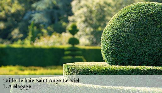 Taille de haie saint-ange-le-viel-77710 L.A élagage