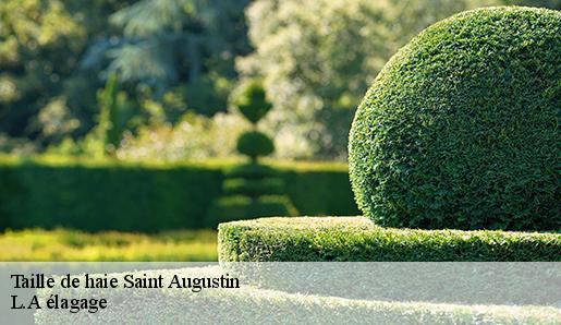 Taille de haie saint-augustin-77515 L.A élagage