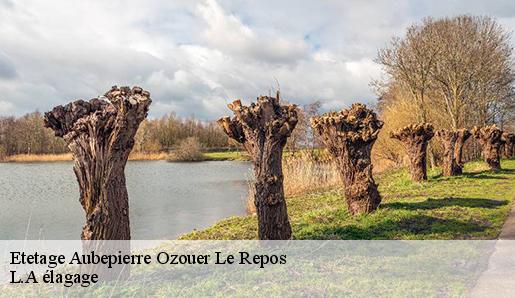 Etetage aubepierre-ozouer-le-repos-77720 Sauser elagage