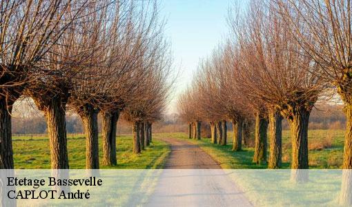 Etetage bassevelle-77750 CAPLOT André