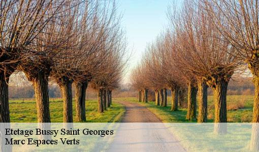 Etetage  bussy-saint-georges-77600 Marc Espaces Verts 