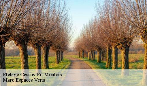 Etetage  cessoy-en-montois-77520 Marc Espaces Verts 