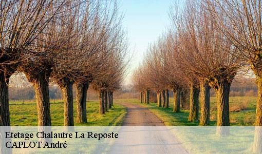 Etetage chalautre-la-reposte-77520 CAPLOT André