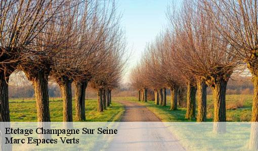 Etetage  champagne-sur-seine-77430 Marc Espaces Verts 