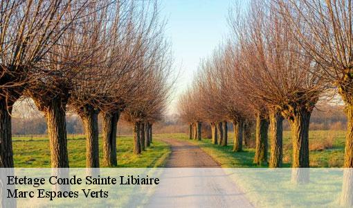 Etetage  conde-sainte-libiaire-77450 Marc Espaces Verts 
