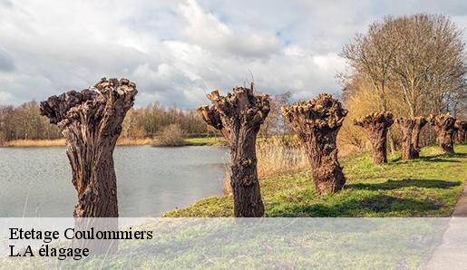 Etetage coulommiers-77120 L.A élagage