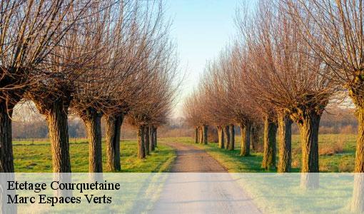 Etetage courquetaine-77390 Marc Espaces Verts