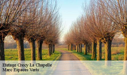 Etetage  crecy-la-chapelle-77580 Marc Espaces Verts 