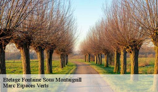 Etetage  fontaine-sous-montaiguill-77560 Marc Espaces Verts 