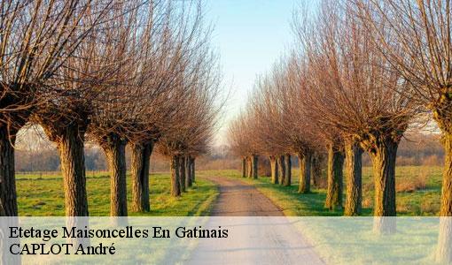 Etetage  maisoncelles-en-gatinais-77570 CAPLOT André