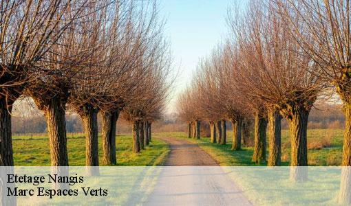 Etetage  nangis-77370 Marc Espaces Verts 