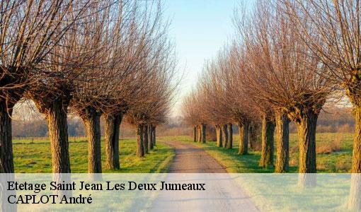 Etetage saint-jean-les-deux-jumeaux-77660 CAPLOT André