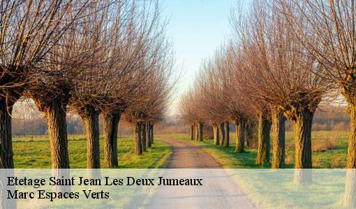 Etetage  saint-jean-les-deux-jumeaux-77660 Marc Espaces Verts 