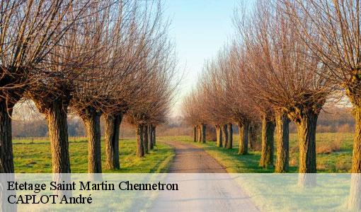 Etetage saint-martin-chennetron-77560 CAPLOT André