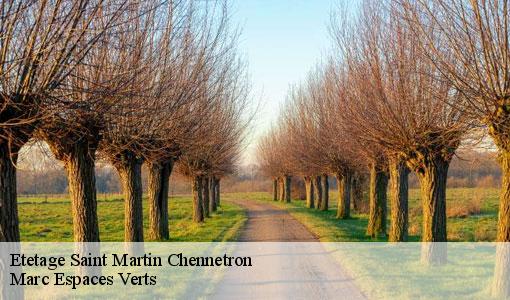 Etetage  saint-martin-chennetron-77560 Marc Espaces Verts 