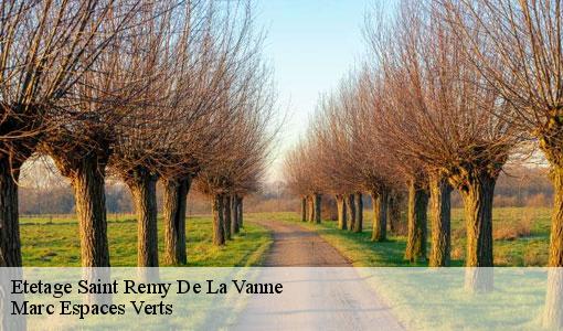 Etetage  saint-remy-de-la-vanne-77320 Marc Espaces Verts 