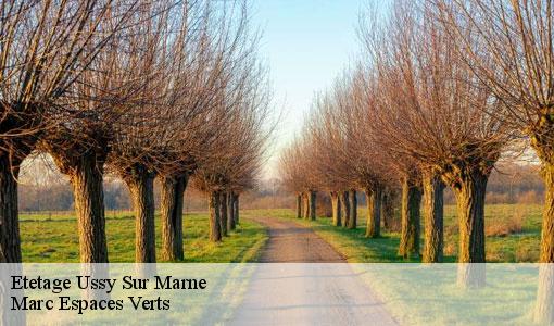 Etetage  ussy-sur-marne-77260 Marc Espaces Verts 