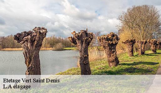 Etetage vert-saint-denis-77240 M.CAPLOT