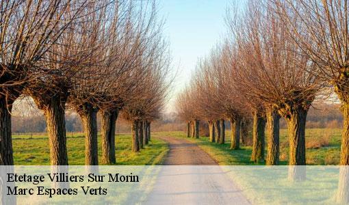 Etetage  villiers-sur-morin-77580 Marc Espaces Verts 