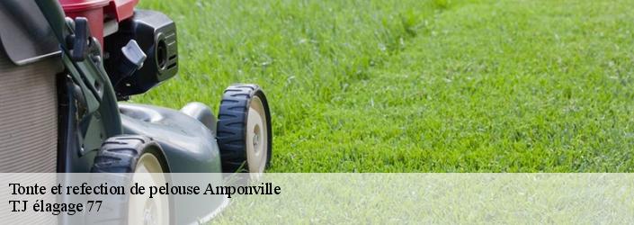 Tonte et refection de pelouse  amponville-77760 T.J élagage 77