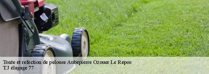 Tonte et refection de pelouse  aubepierre-ozouer-le-repos-77720 Sauser elagage
