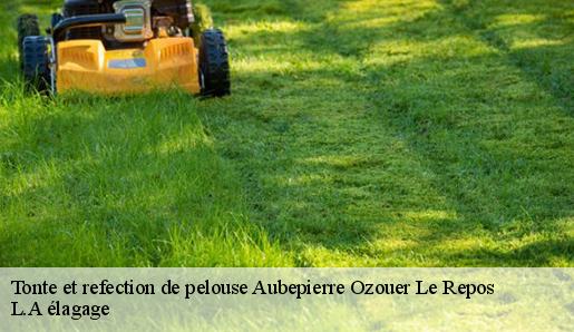 Tonte et refection de pelouse aubepierre-ozouer-le-repos-77720 Sauser elagage