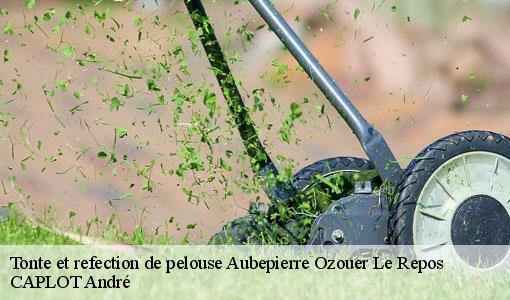 Tonte et refection de pelouse aubepierre-ozouer-le-repos-77720 CAPLOT André