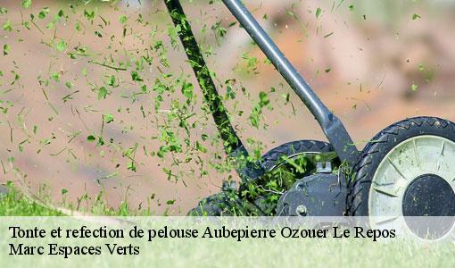 Tonte et refection de pelouse  aubepierre-ozouer-le-repos-77720 Marc Espaces Verts 