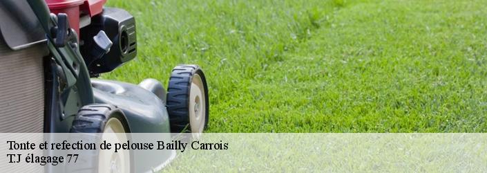 Tonte et refection de pelouse  bailly-carrois-77720 T.J élagage 77