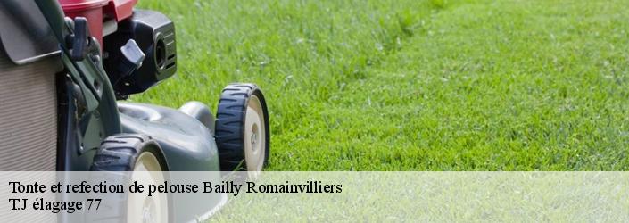 Tonte et refection de pelouse  bailly-romainvilliers-77700 Sauser elagage