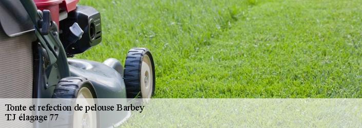 Tonte et refection de pelouse  barbey-77130 T.J élagage 77