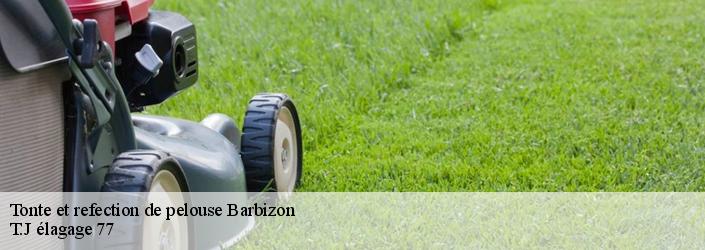 Tonte et refection de pelouse  barbizon-77630 T.J élagage 77